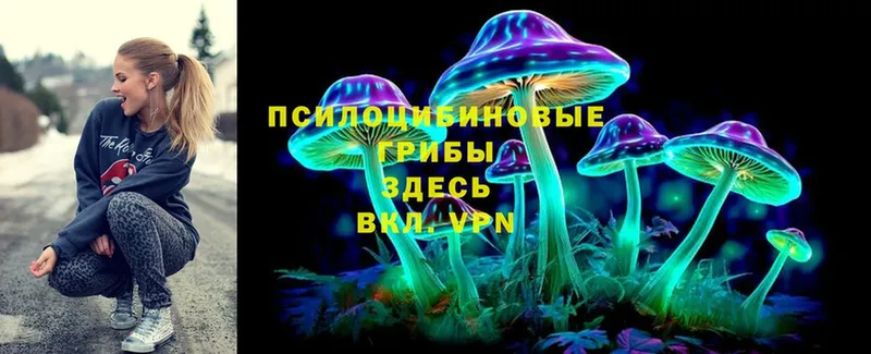 продажа наркотиков  площадка как зайти  Псилоцибиновые грибы Psilocybe  Людиново 